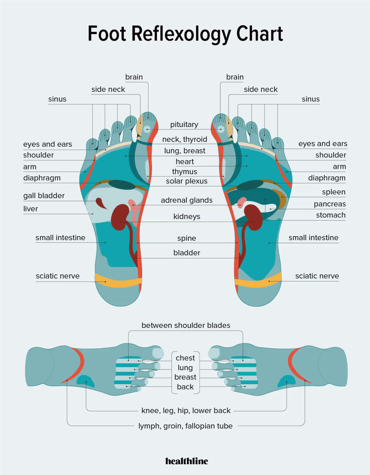 reflexology foot massage concept